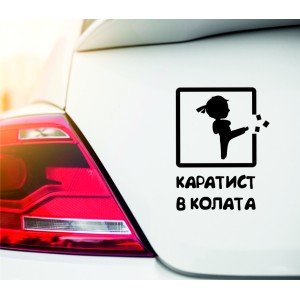 Стикер за кола - Каратист в колата
